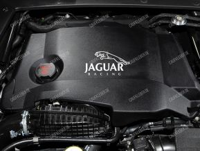 Jaguar Racing Aufkleber für Motorhaube