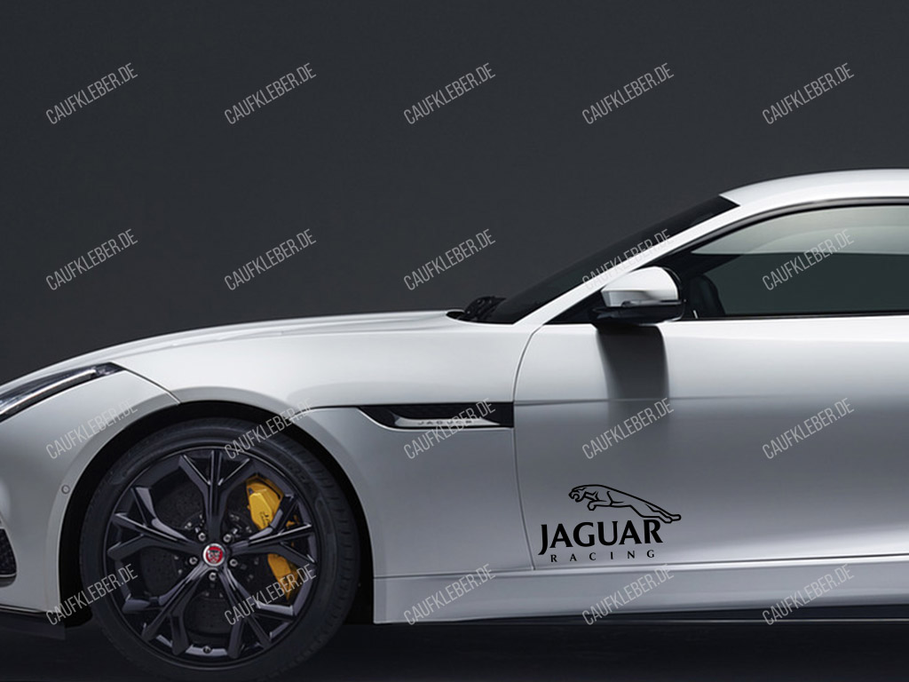 Jaguar Racing Aufkleber für Türen